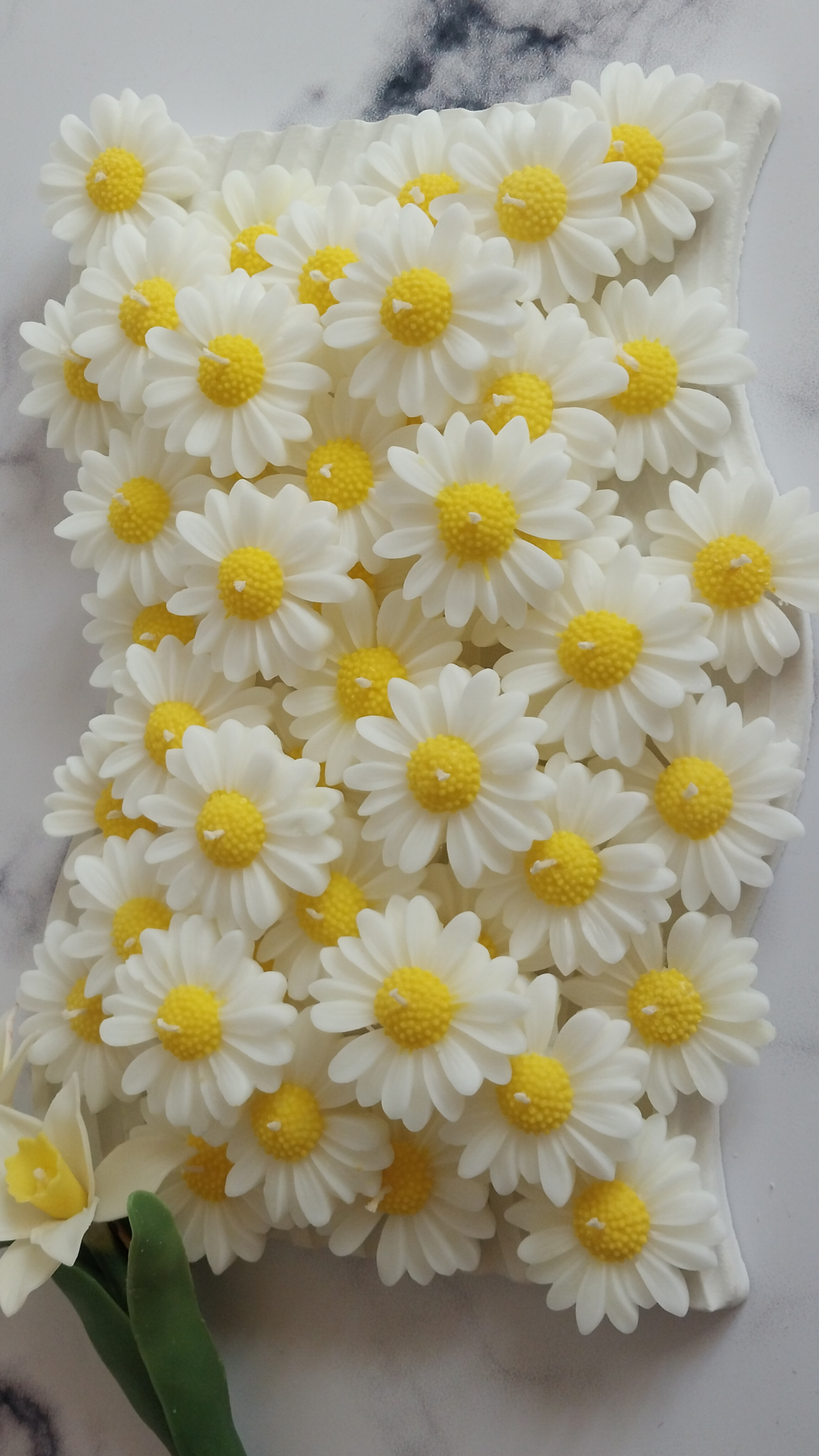 شمع گل بابونه (مارگاریت) گیفت و شمع رو آبی